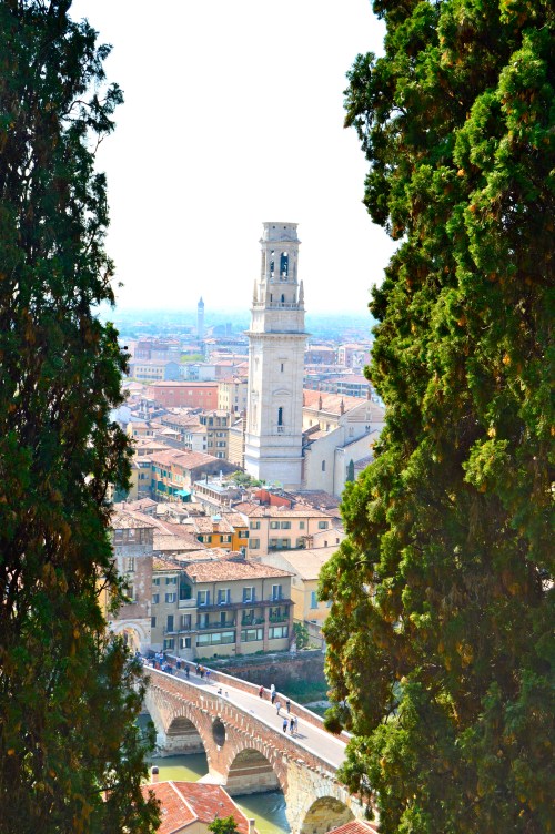 Verona, like her type