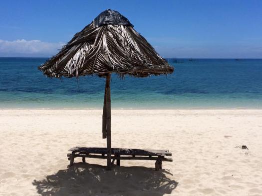 12795442_10156533067605858_4121685732223197029_n